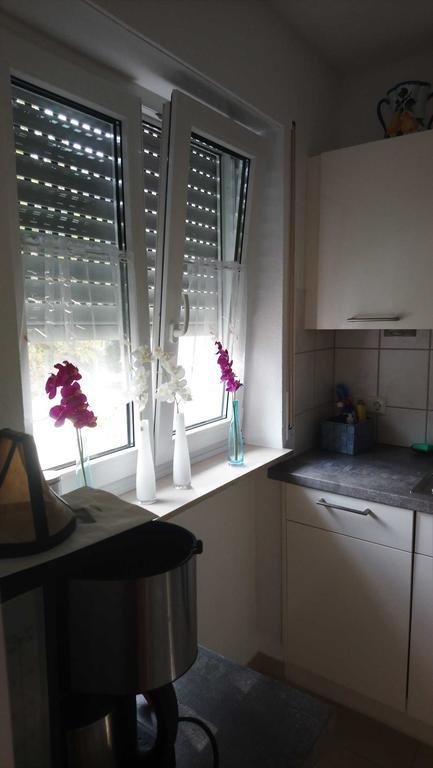 Evelyn Klaeger Apartment Фрайбург Екстериор снимка
